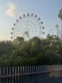 觀瀾湖綠道的心靈之旅
