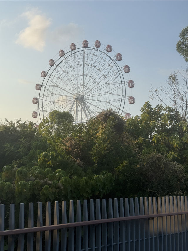 觀瀾湖綠道的心靈之旅