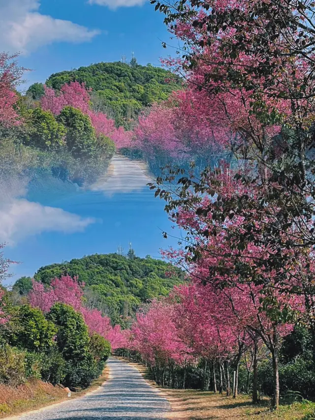 Lancang during the Spring Festival | 2-day itinerary with endless laughter