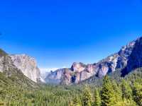 Yosemite National Park: A Summer Paradise 🌲🏞️