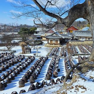Nonsan, South Korea: A 2-Day Itinerary for an Off-the-Beaten-Track Adventure
