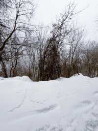 西安潭峪｜九華山冬季遠足賞雪攻略！
