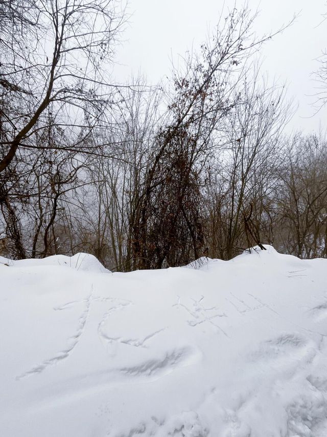 西安潭峪｜九華山冬季遠足賞雪攻略！