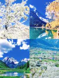 3-4月旅行天花板，美得像墜落凡間的畫。