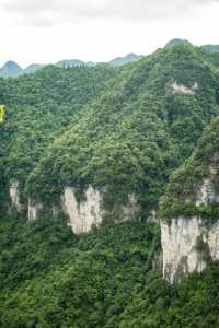我在畢節找到一個原始森林高原峽谷秘境｜大方油杉河景區