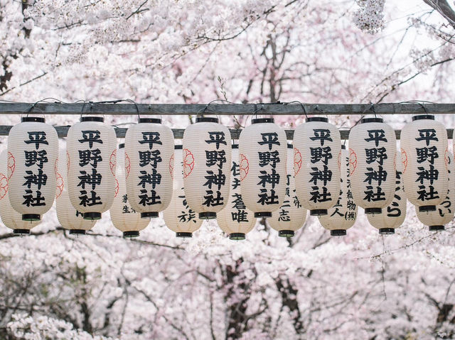 京都小眾賞櫻聖地 | 平野神社