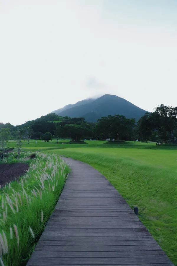 深圳有自己的阿勒泰！——恩上濕地公園