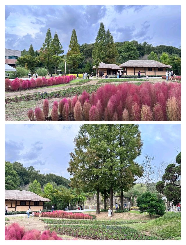 秋天一定要去的韓國富川，美翻了！