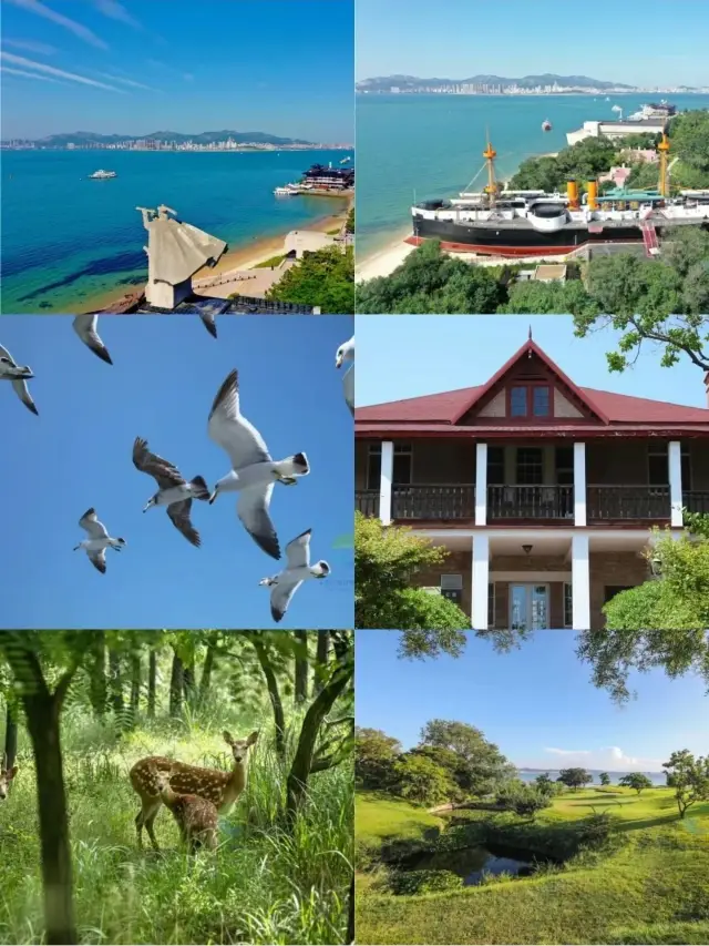 Qingdao-Weihai-Yantai 5-Day Tour: A Super Popular Itinerary You Must Save!