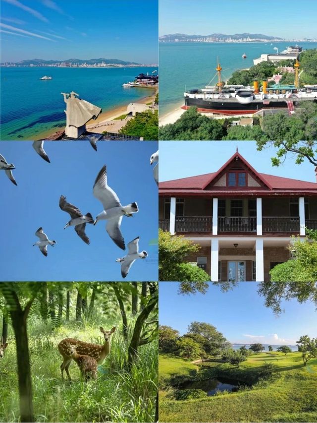 青島-威海-煙台5日遊超火路線速速收藏