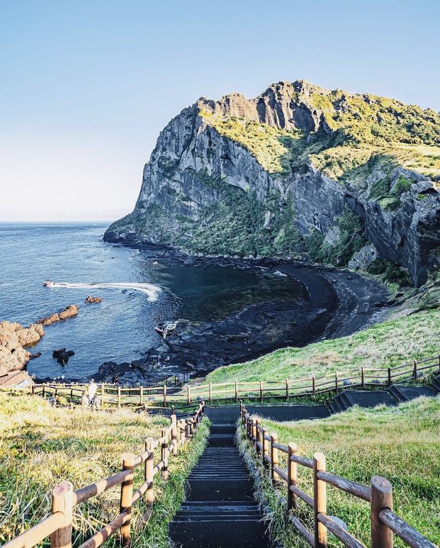 春天的濟州島，櫻花如雲，浪漫滿溢！