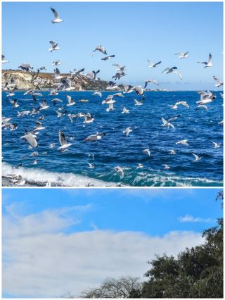 ดื่มด่ำไปกับเมือง Blenheim และพบกับแหล่งผลิตไวน์อันสดใสของนิวซีแลนด์!