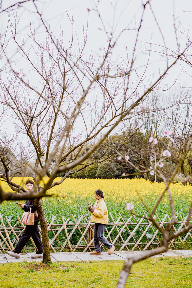 地鐵直達春日 | 在十里河灘的油菜花海裡騎行追風。