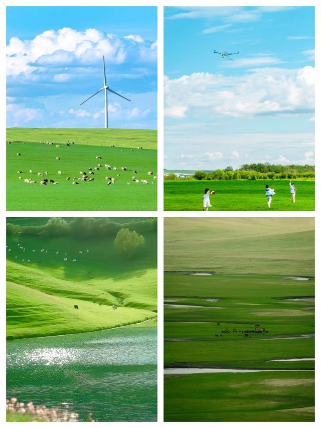 宮崎駿的夏天呼和浩特