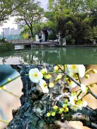 包公園｜合肥旅遊必打卡的公園