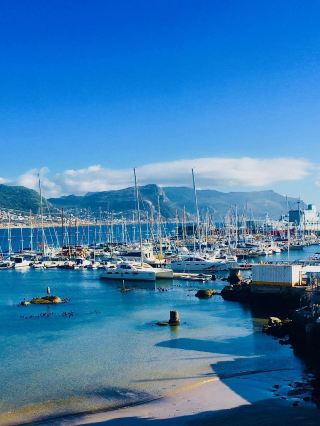 A Perfect 10-Day South Africa Itinerary for Your Next Getaway