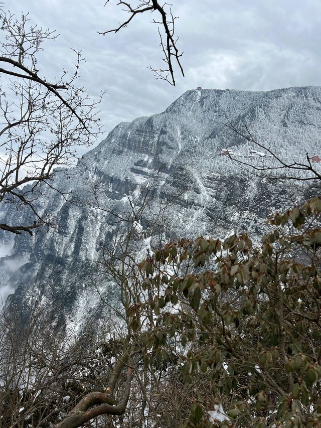 小長假樂山3日遊 玩轉全攻略