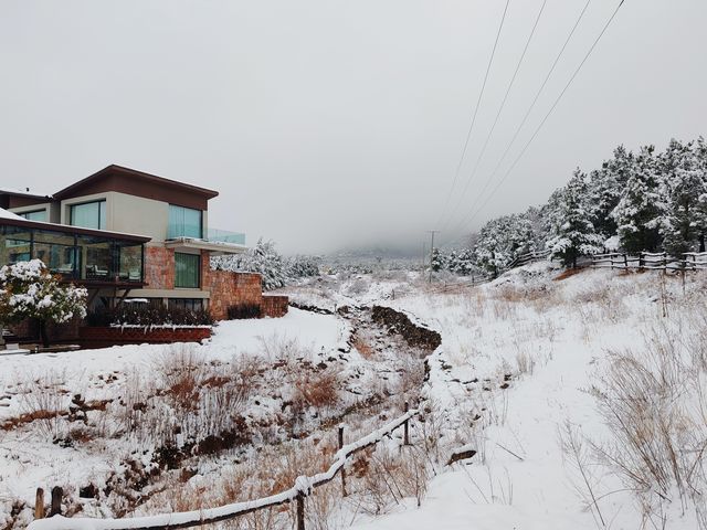 雪後的玉湖村，仿如童話世界