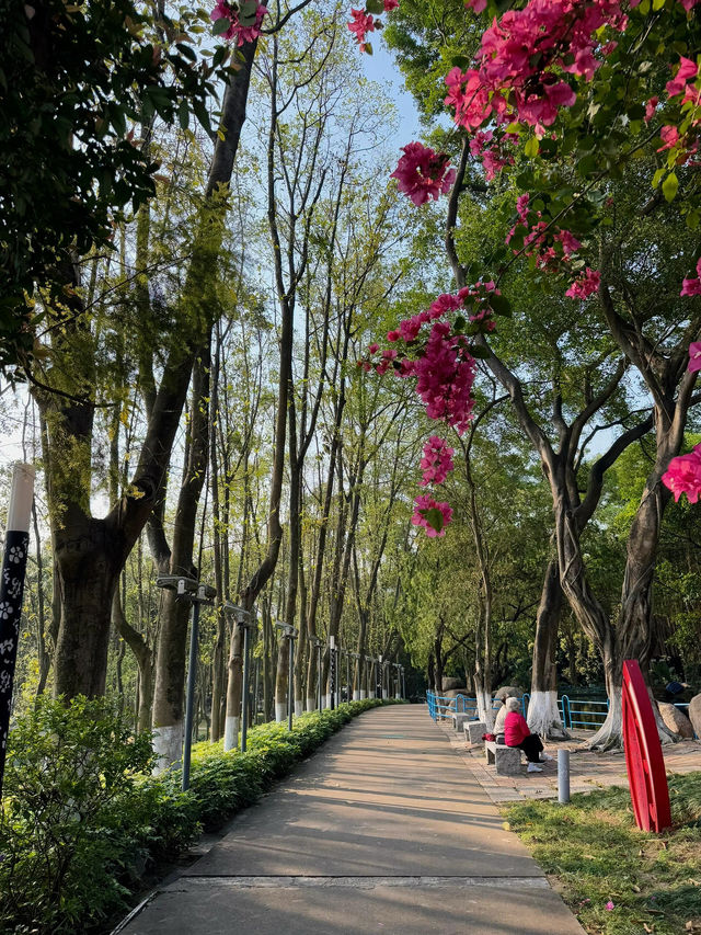 # 美麗的孫文紀念公園