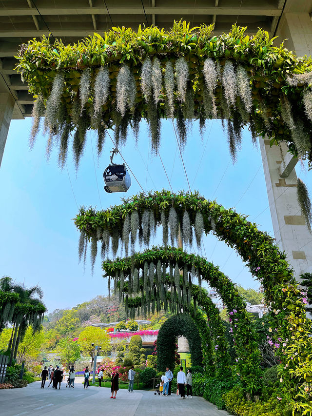 廣州攻略｜花城賞花熱，雲蘿植物園打卡多巴胺