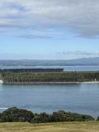 A Morning Walk Up The Mount, A Must Do In Tauranga NZ