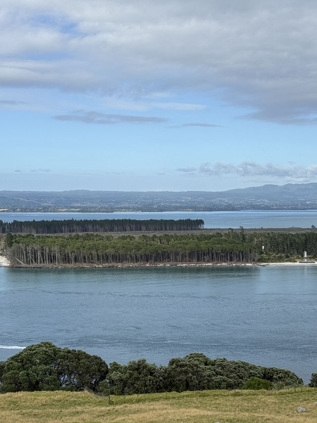 A Morning Walk Up The Mount, A Must Do In Tauranga NZ