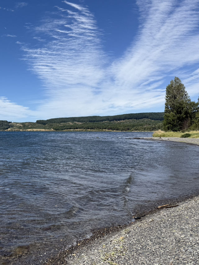 A Swim Like No Other, The Lakes In The Bay Of Plenty New Zealand