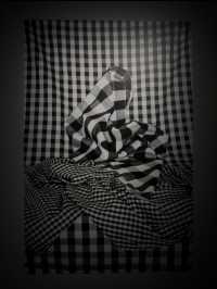 蘇州河畔一票多展｜人人都來做攝影師！