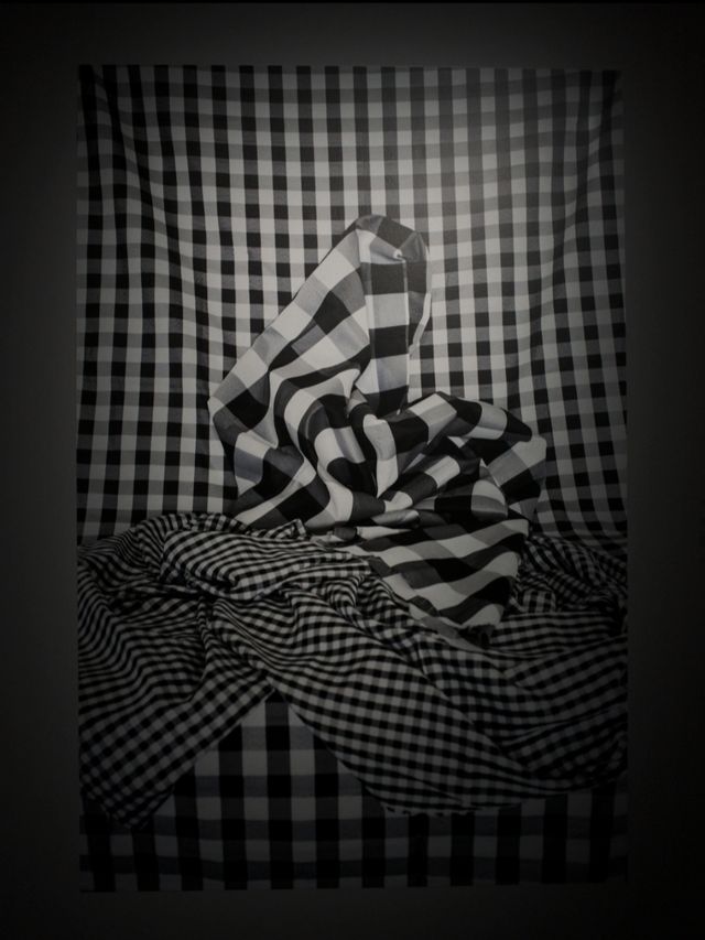 蘇州河畔一票多展｜人人都來做攝影師！