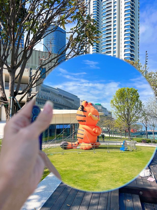 濱海漫步巧遇加菲貓！