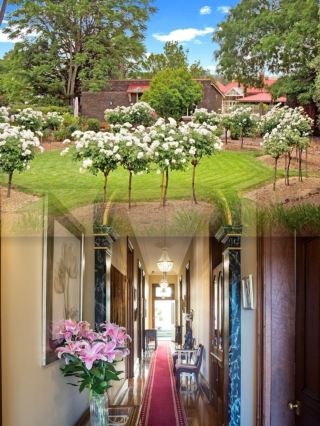 Loloma Bed and Breakfast: A Cozy Country Escape