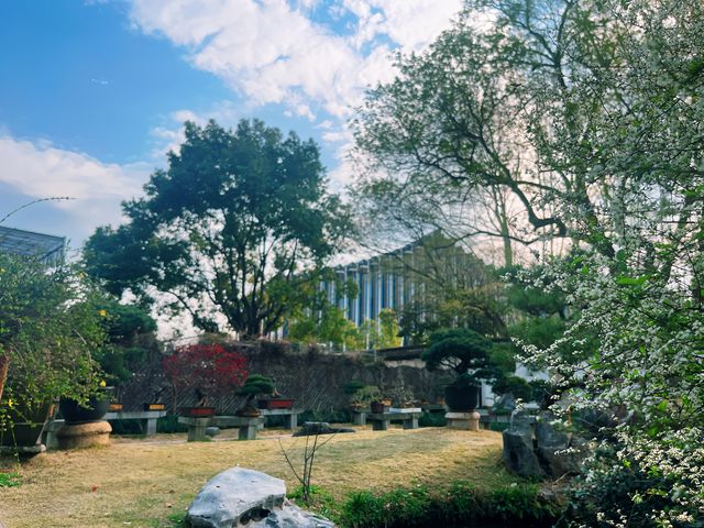醉白池—松江小眾探尋春季之旅