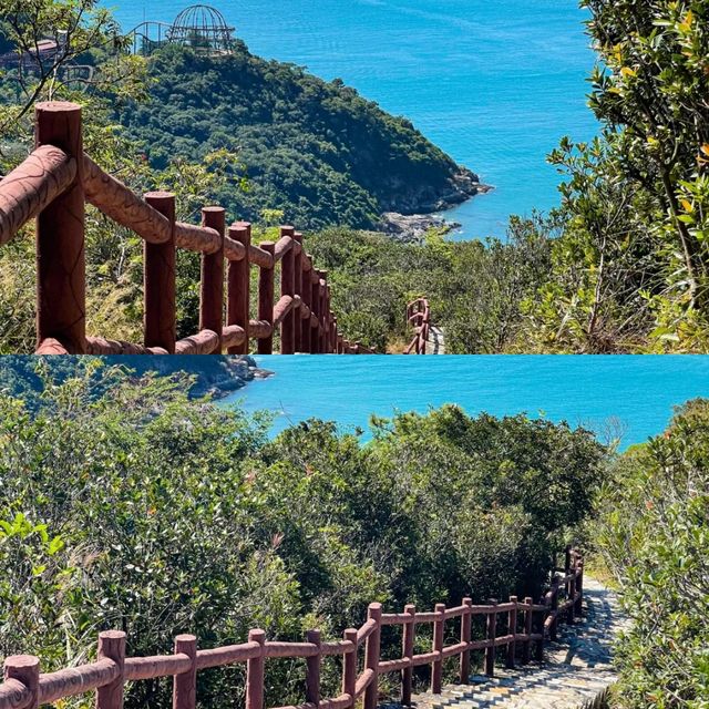 香港本地人的良心建議，這些坑別踩