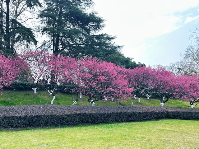ทะเลสาบซวนอู่ เมืองหนานจิง ทะเลสาบซวนอู่ เมืองหนานจิง