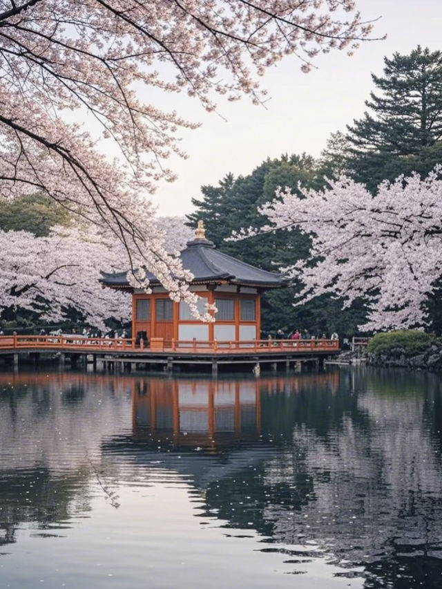 🌸東京上野公園の雲端櫻花季｜避開人潮的絕美打卡攻略🔥