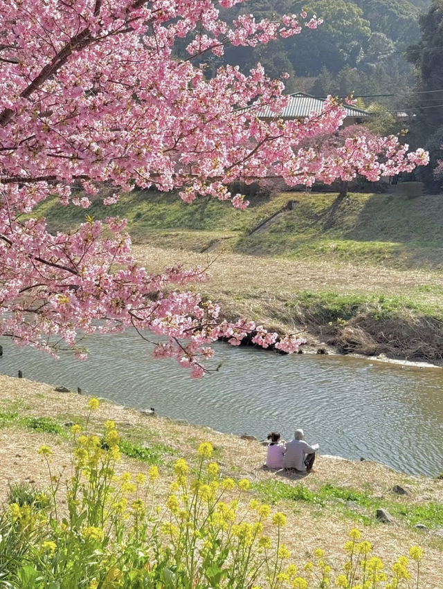 伊豆🌸原來動漫裏的場景是真實存在的❗️