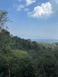 西雙版納徒步茶山住在雨林裏