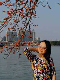 醉美木棉｜紅色蔓延到了廣州喜臨院