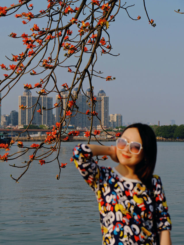醉美木棉｜紅色蔓延到了廣州喜臨院