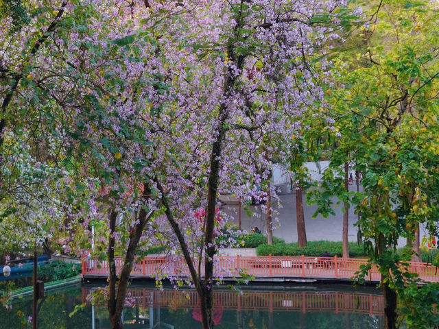 越秀公園，超級好玩的廣州城市綠洲✨