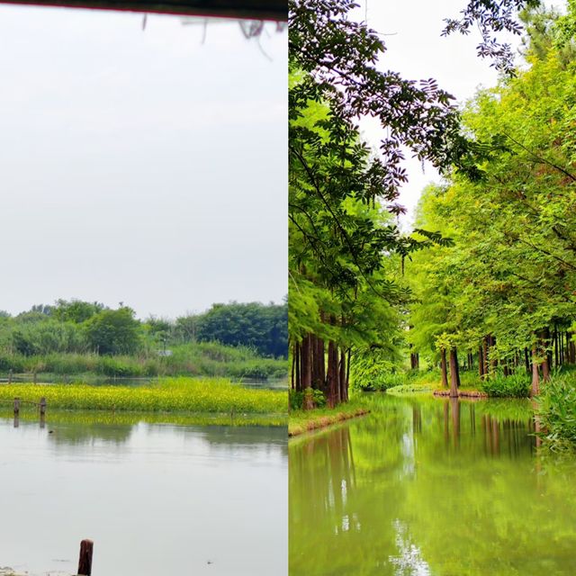 西溪濕地公園旅遊攻略