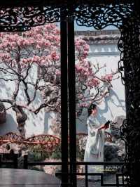 Experience the Enchanting Spring in Suzhou