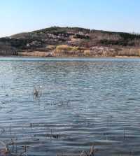 牟山濕地公園：大自然嘅詩意篇章