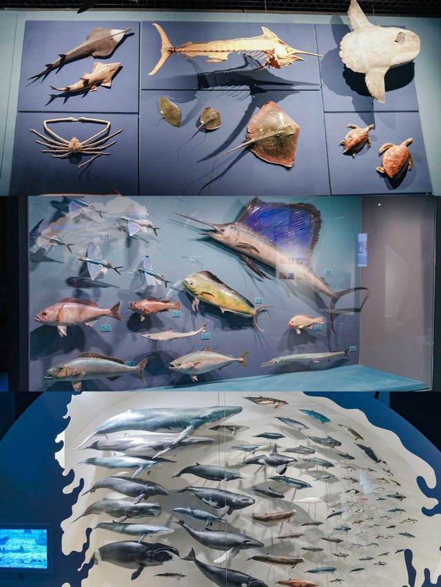 浙江安吉自然博物館親子遊攻略