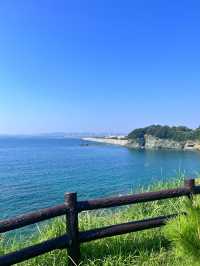 和歌山 | 山海間的浪漫海景燒烤🌊