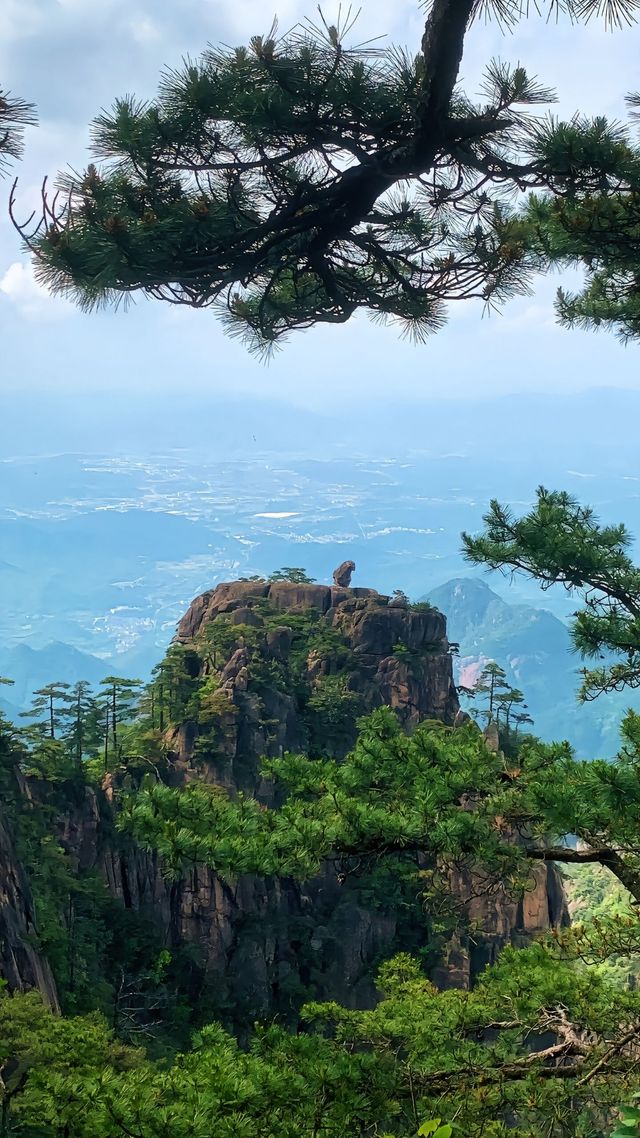 黃山風景區美的有多令人震撼？衝鴨！！！