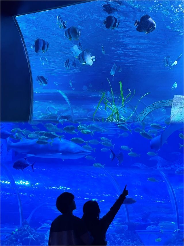 廈門海上世界｜浪漫氛圍感出片指南