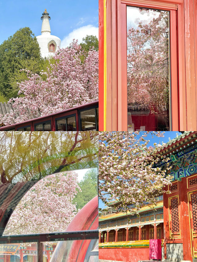 穿越千年皇家園林，邂逅北海公園的浪漫與詩意