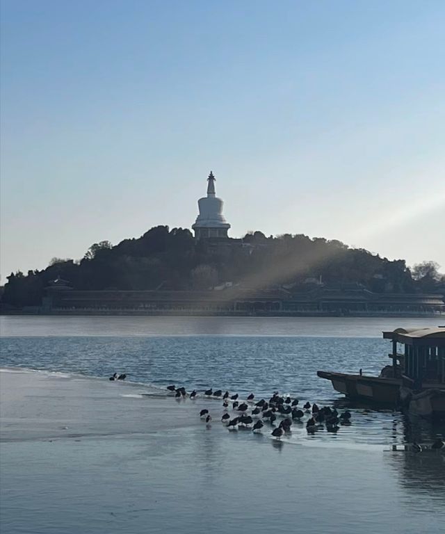 來到北海公園，感受歷史底蘊