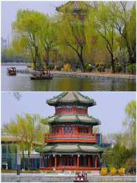 春天的北京，簡直是人間理想